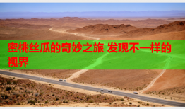 蜜桃丝瓜的奇妙之旅 发现不一样的视界