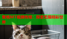 蜜桃MT视频传媒：探索无限精彩世界