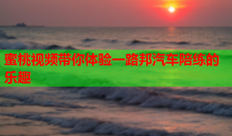 蜜桃视频带你体验一路邦汽车陪练的乐趣