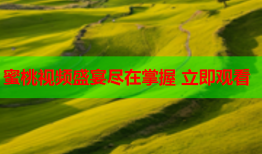 蜜桃视频盛宴尽在掌握 立即观看