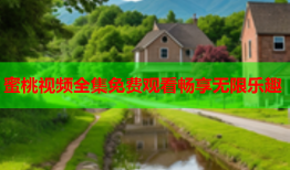 蜜桃视频全集免费观看畅享无限乐趣