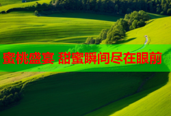 蜜桃盛宴 甜蜜瞬间尽在眼前