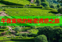 午夜蜜桃的秘密诱惑之旅