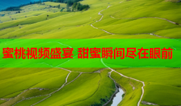 蜜桃视频盛宴 甜蜜瞬间尽在眼前