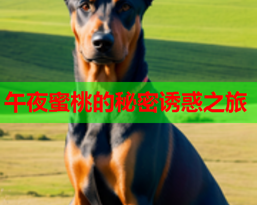 午夜蜜桃的秘密诱惑之旅