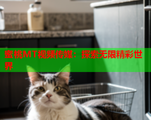 蜜桃MT视频传媒：探索无限精彩世界