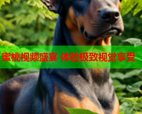 蜜桃视频盛宴 体验极致视觉享受