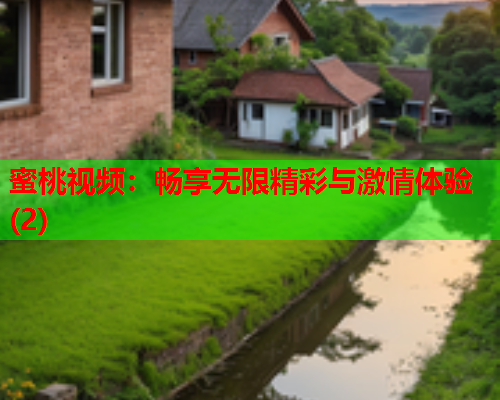 蜜桃视频：畅享无限精彩与激情体验(2)