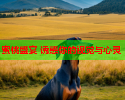 蜜桃盛宴 诱惑你的视觉与心灵