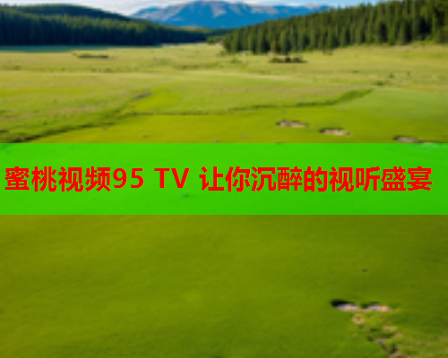 蜜桃视频95 TV 让你沉醉的视听盛宴