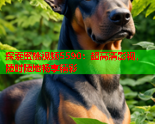 探索蜜桃视频5590：超高清影视，随时随地畅享精彩
